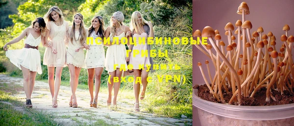 соль курить ск Вязьма